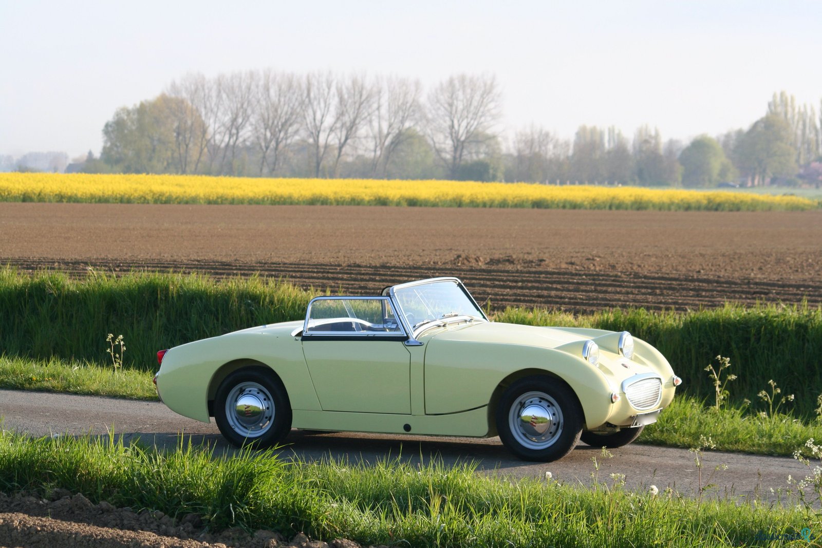 1960' Austin-Healey Frogeye photo #1