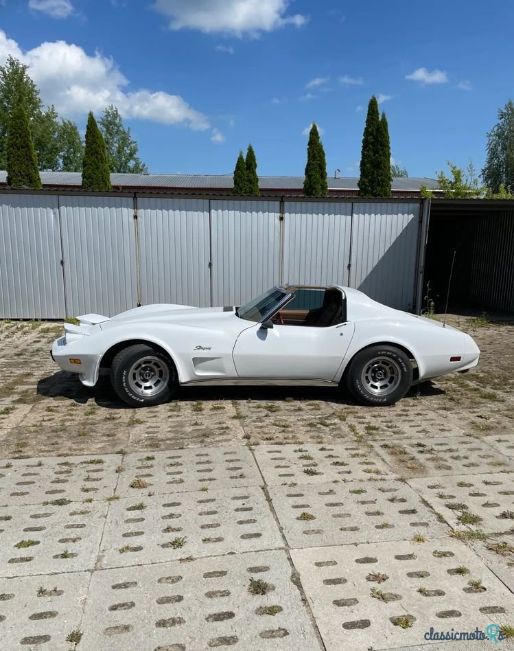 1975' Chevrolet Corvette photo #3