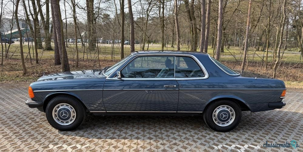 1979' Mercedes-Benz W123 photo #3