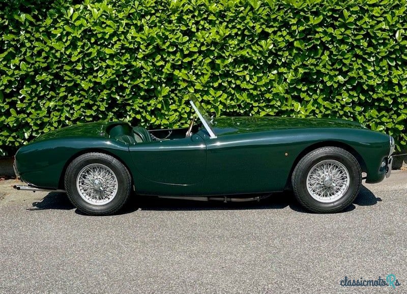 1955' AC Ace photo #4