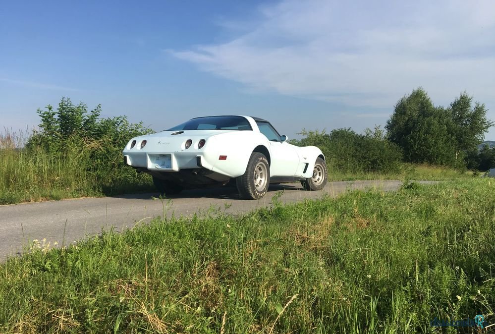 1978' Chevrolet Corvette photo #6
