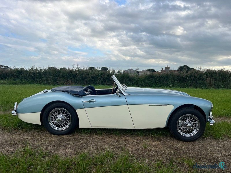 1959' Austin-Healey 100-6 photo #6