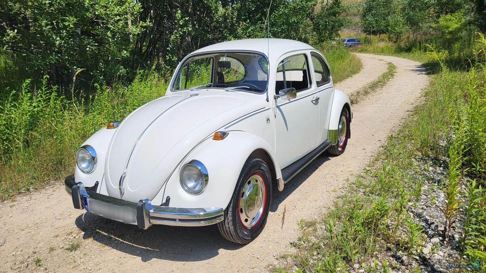 1967' Volkswagen Beetle photo #1