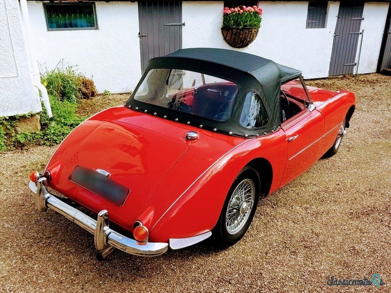 1954' Swallow Doretti photo #3