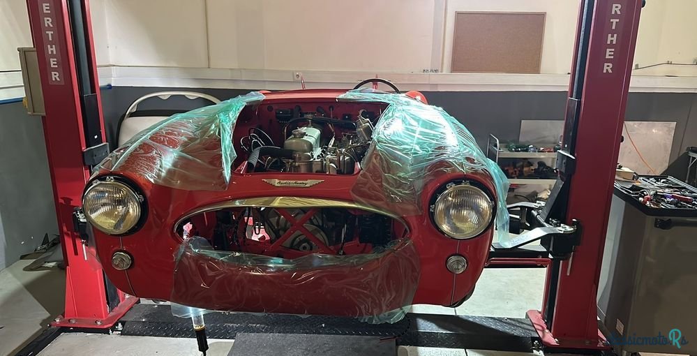 1958' Austin-Healey 3000 photo #1