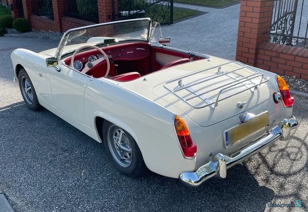 1964' Austin Healey photo #4