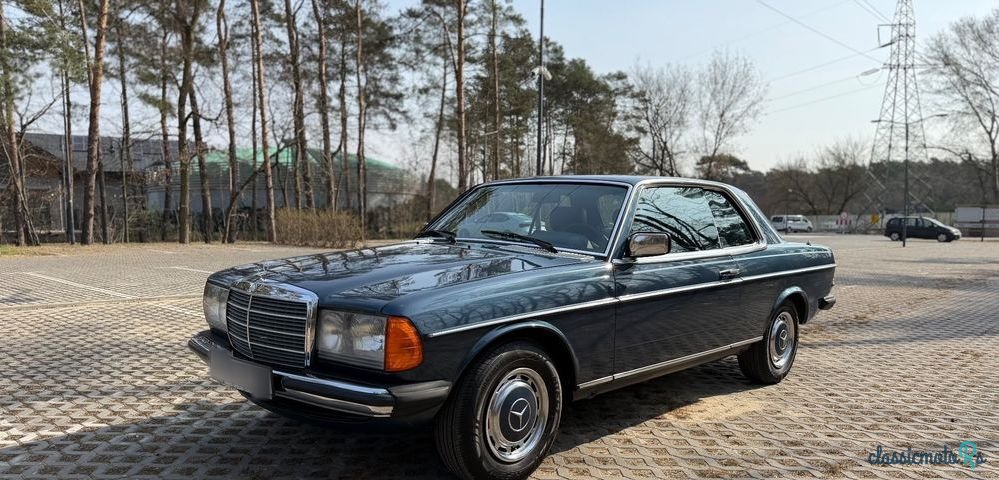 1979' Mercedes-Benz W123 photo #1