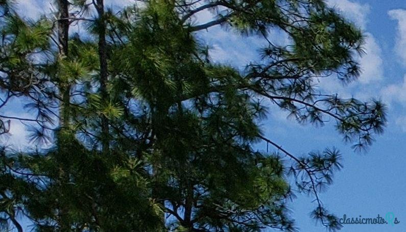 1971' Volkswagen Karmann Ghia photo #1