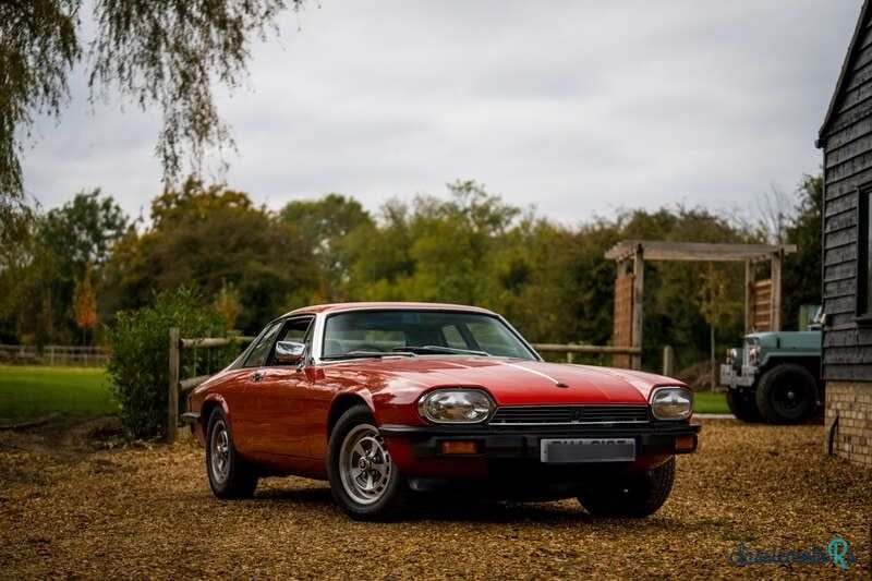 1978' Jaguar XJS photo #2