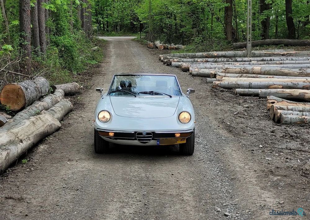 1978' Alfa Romeo Spider photo #4