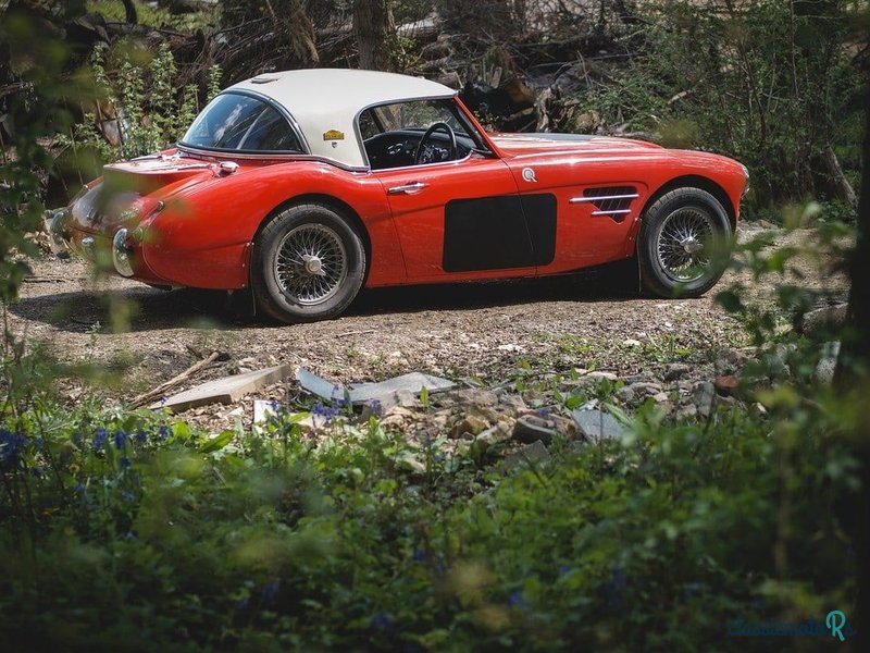 1960' Austin-Healey 3000 photo #5