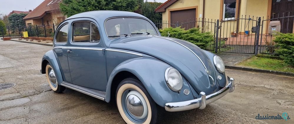 1955' Volkswagen Garbus photo #3