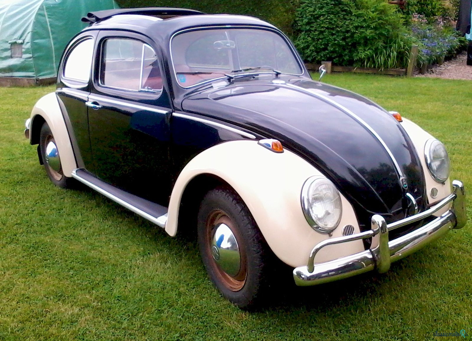 1962' Volkswagen Beetle photo #2