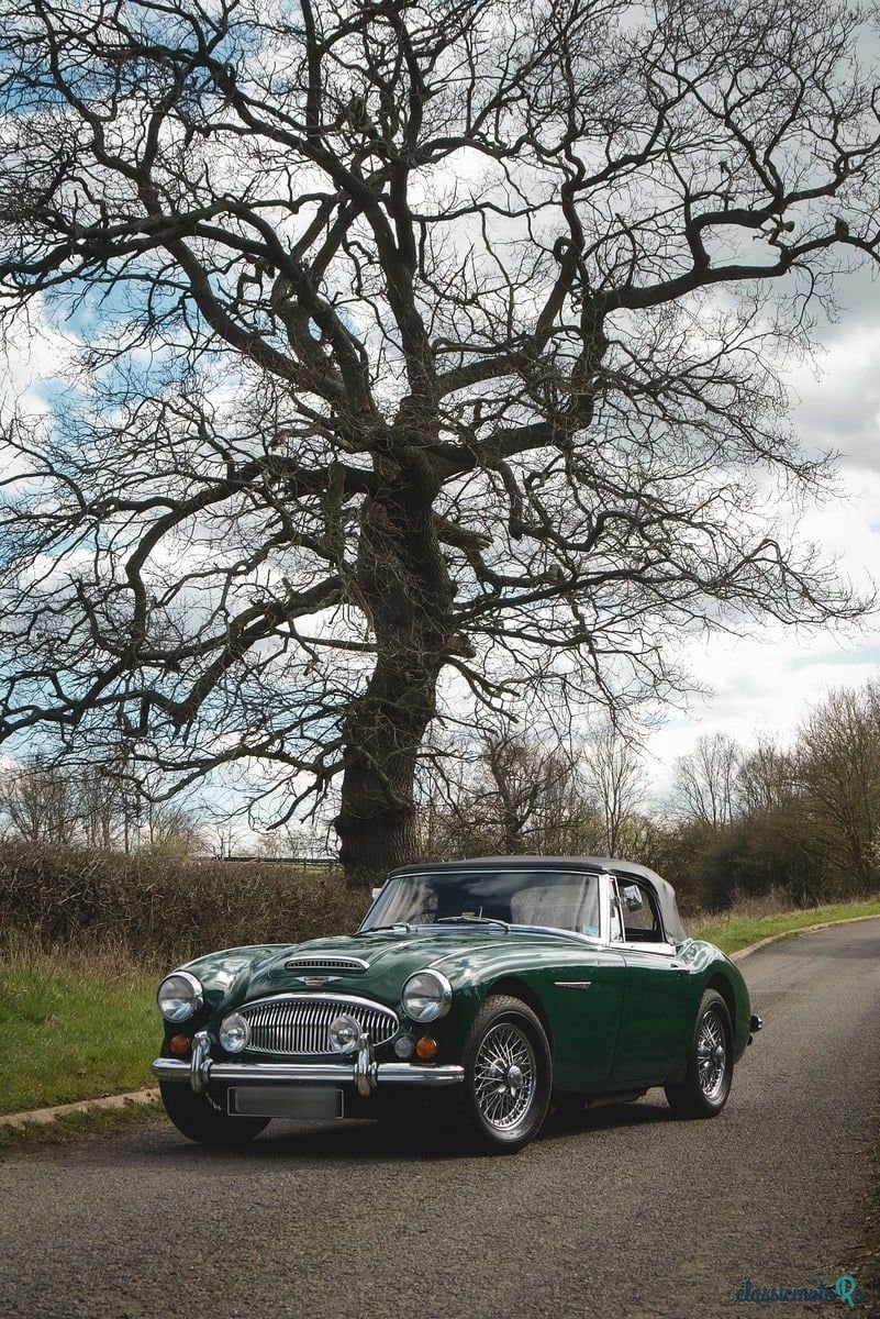 1966' Austin-Healey 3000 photo #4
