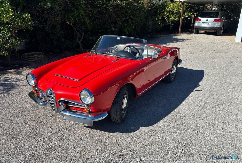 1964' Alfa Romeo Spider photo #1