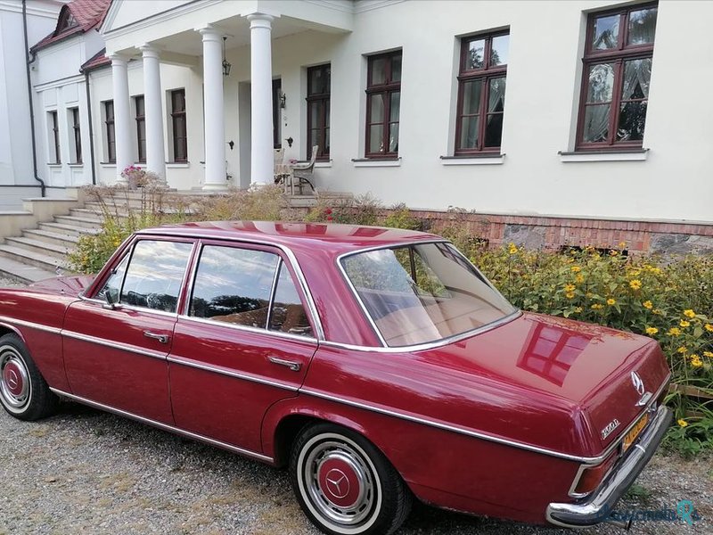 1968' Mercedes-Benz W115s photo #2