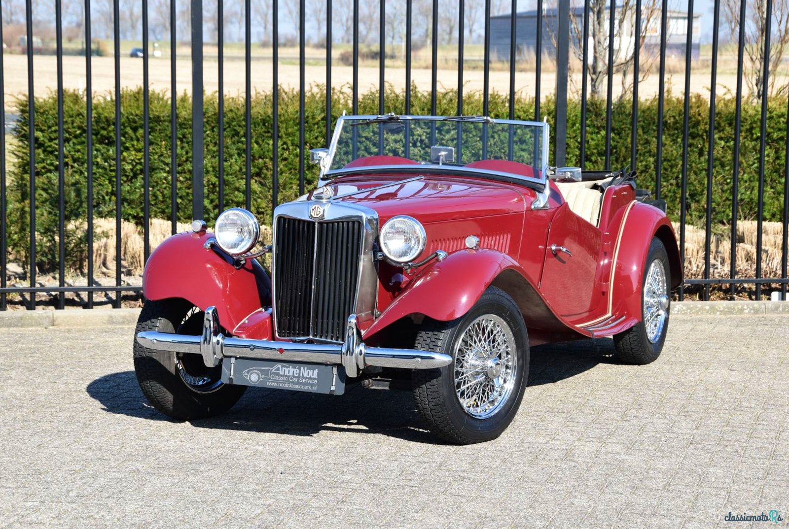 1953' MG Td photo #1