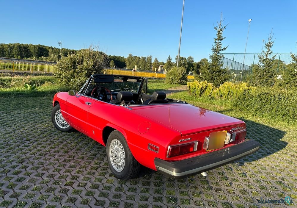 1974' Alfa Romeo Spider 2.0 photo #4