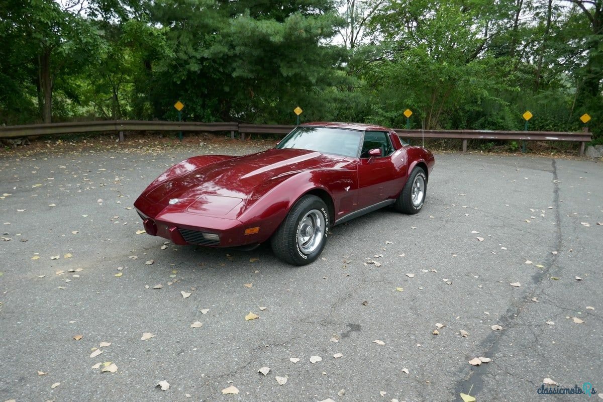 1978' Chevrolet Corvette photo #4