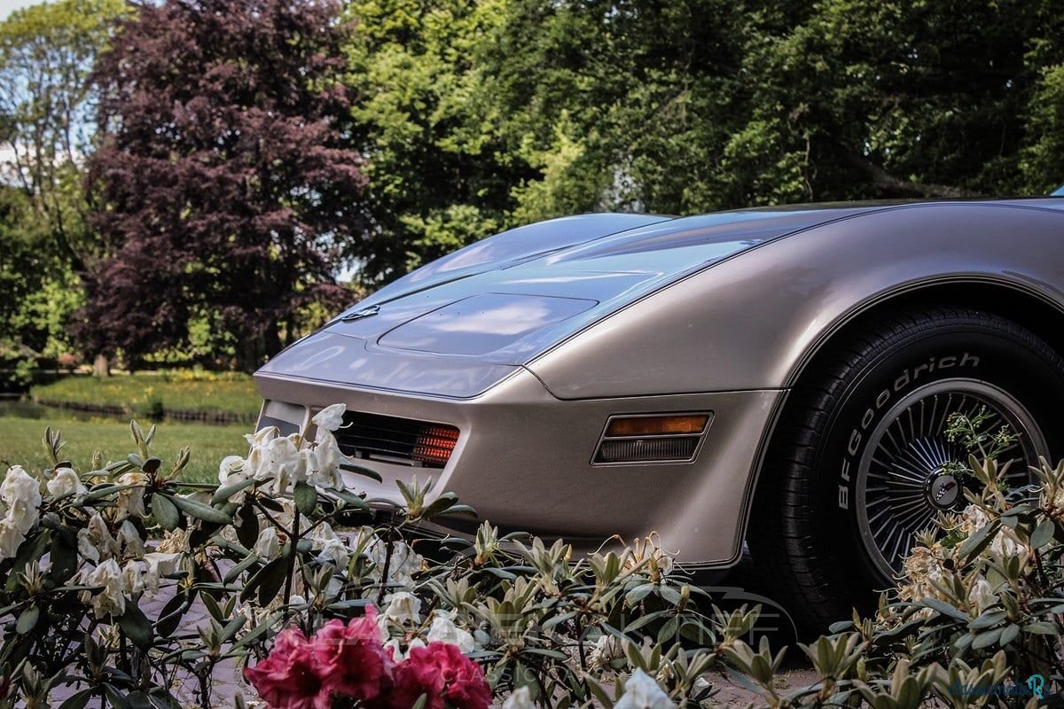 1982' Chevrolet Corvette photo #3