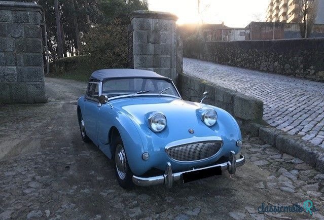 1959' Austin-Healey Sprite photo #2