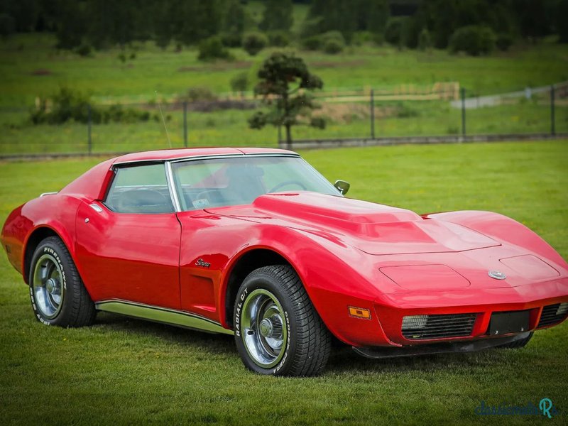 1974' Chevrolet Corvette photo #1