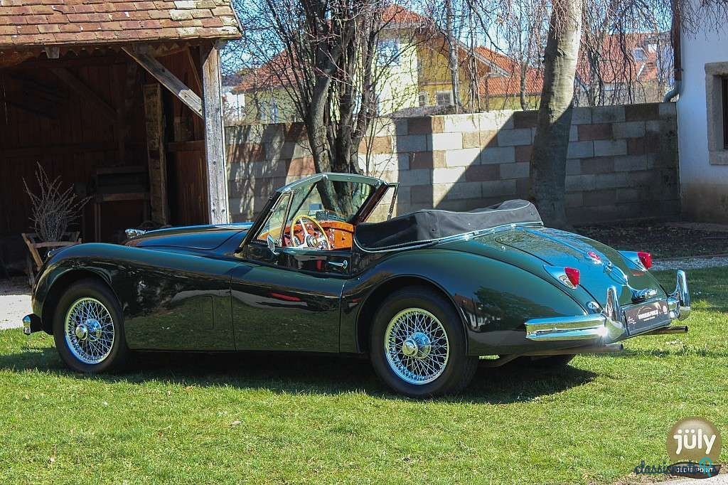 1956' Jaguar XK photo #6
