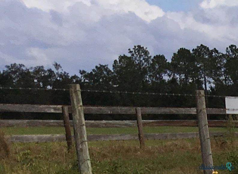 1951' Ford F-1 photo #1