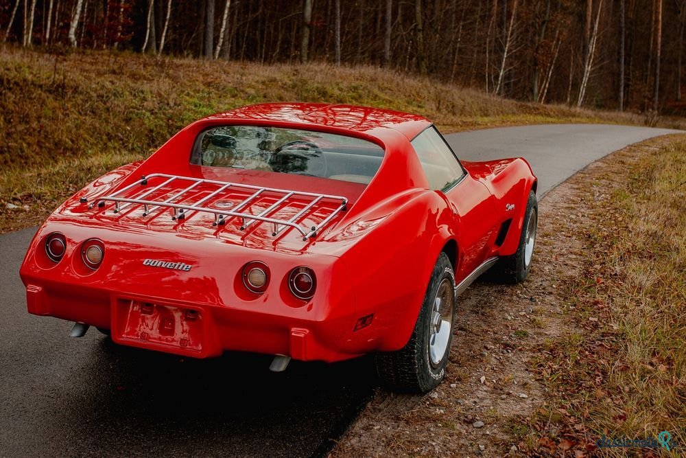 1976' Chevrolet Corvette photo #6