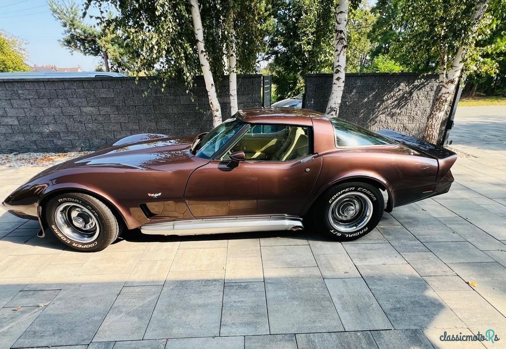 1979' Chevrolet Corvette photo #6