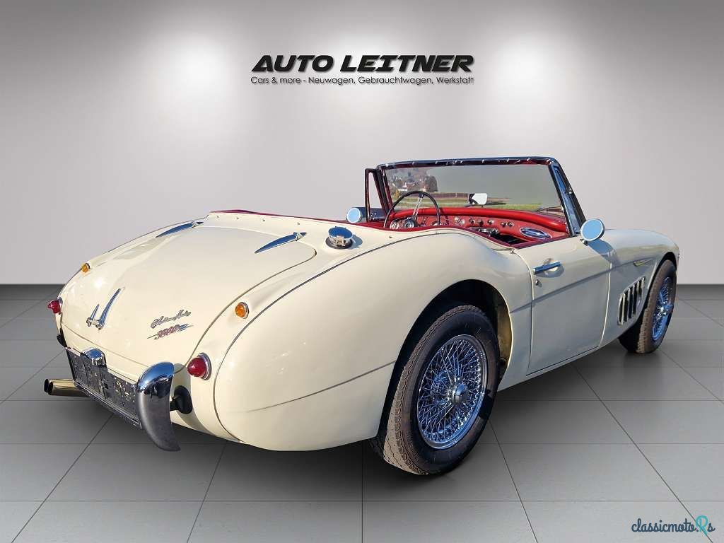 1962' Austin-Healey photo #2