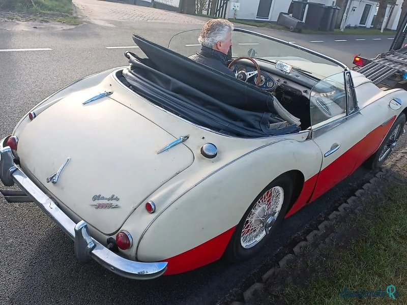 1963' Austin-Healey 3000 photo #1