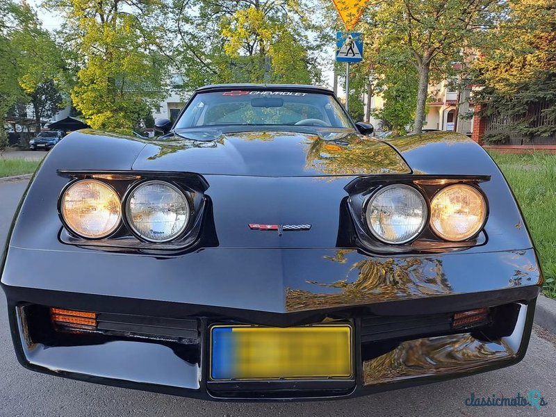1979' Chevrolet Corvette photo #1