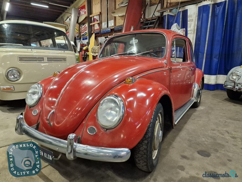 1966' Volkswagen Beetle photo #1