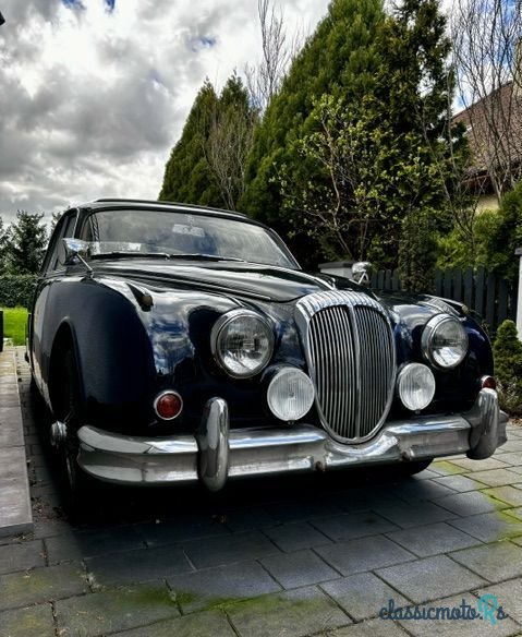 1964' Jaguar Daimler photo #5