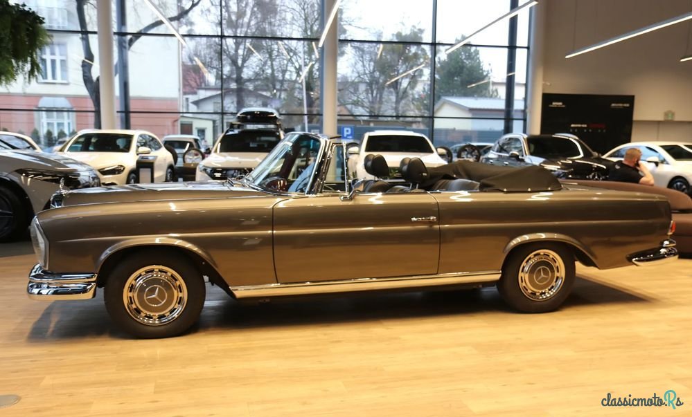 1962' Mercedes-Benz 220SE W111 photo #4