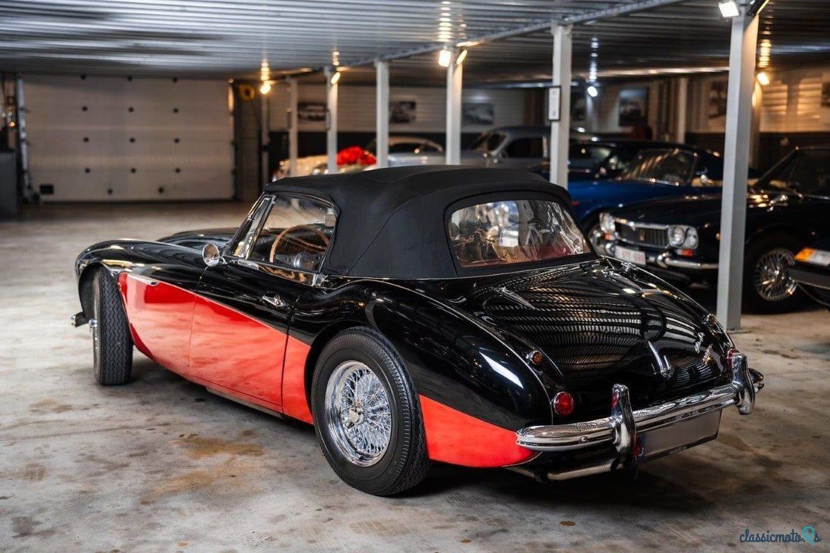 1963' Austin-Healey 3000 photo #6