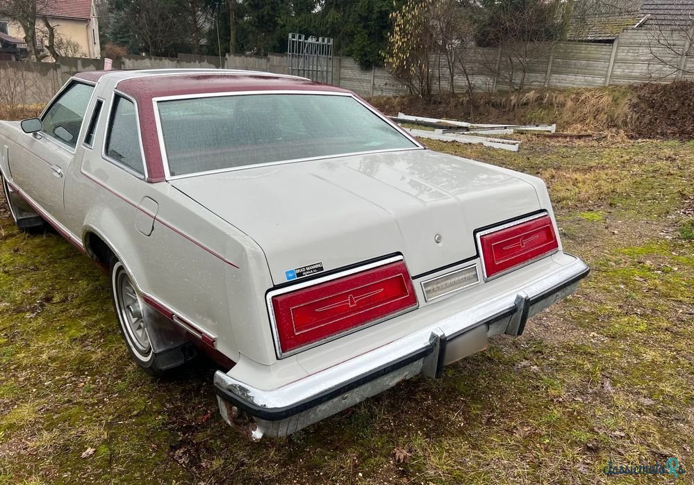 1979' Ford Thunderbird photo #3
