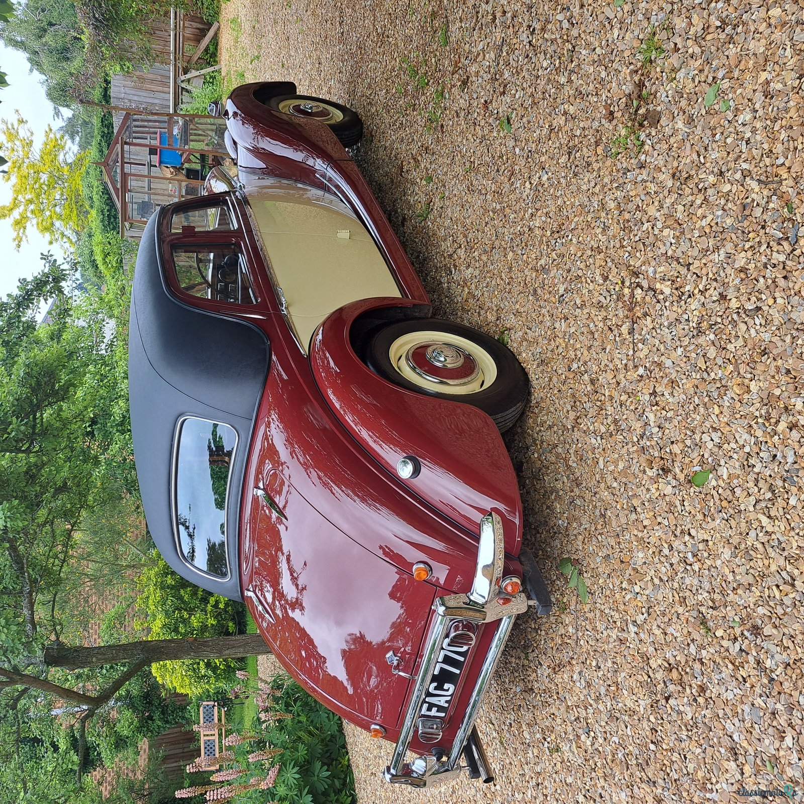 1953' Riley Rme photo #3