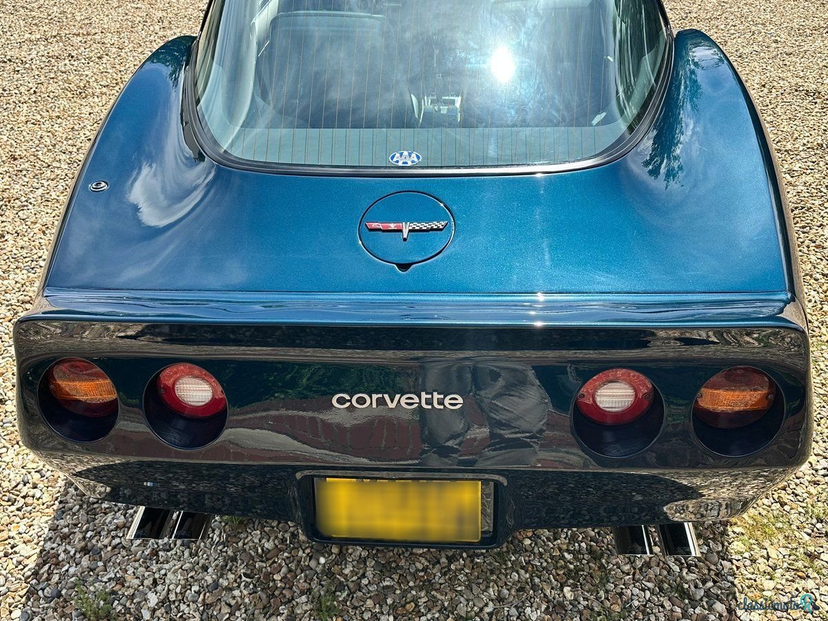 1981' Chevrolet Corvette photo #3