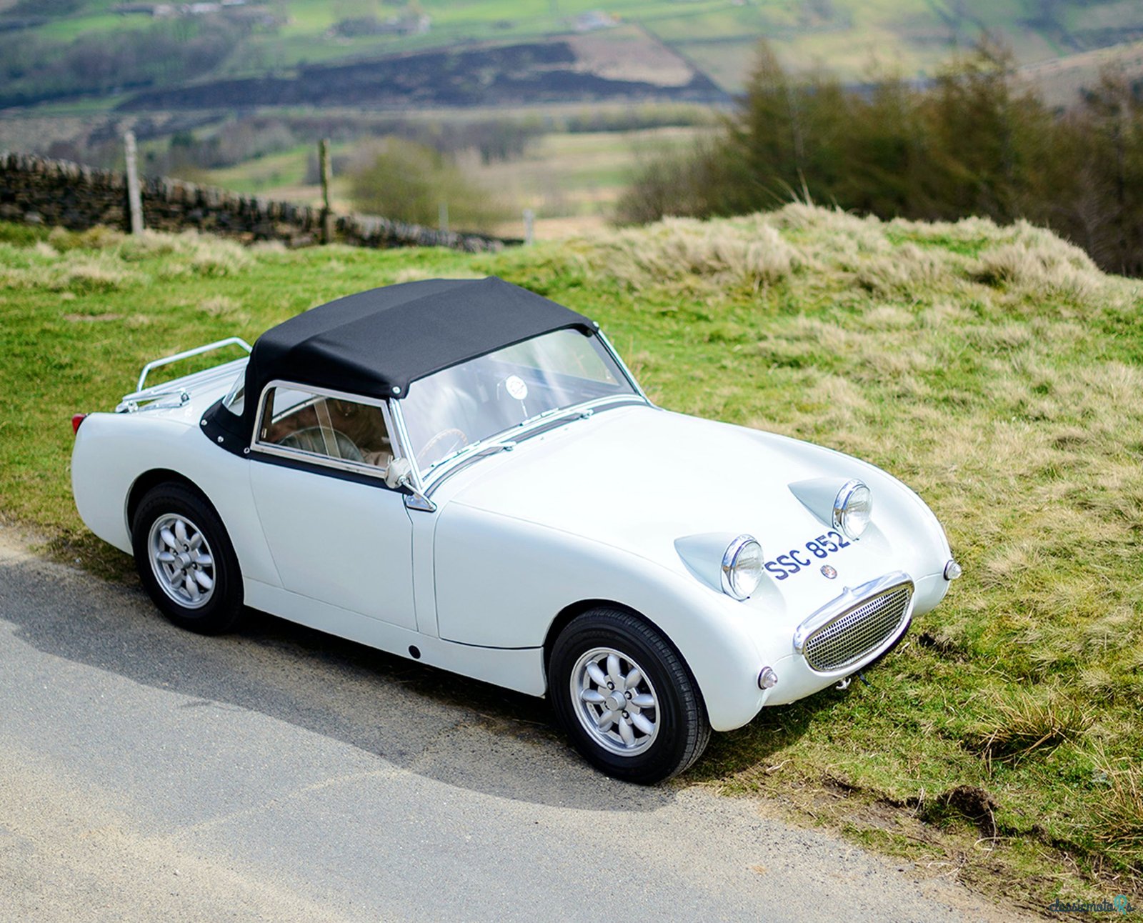 1958' Austin-Healey Sprite photo #1