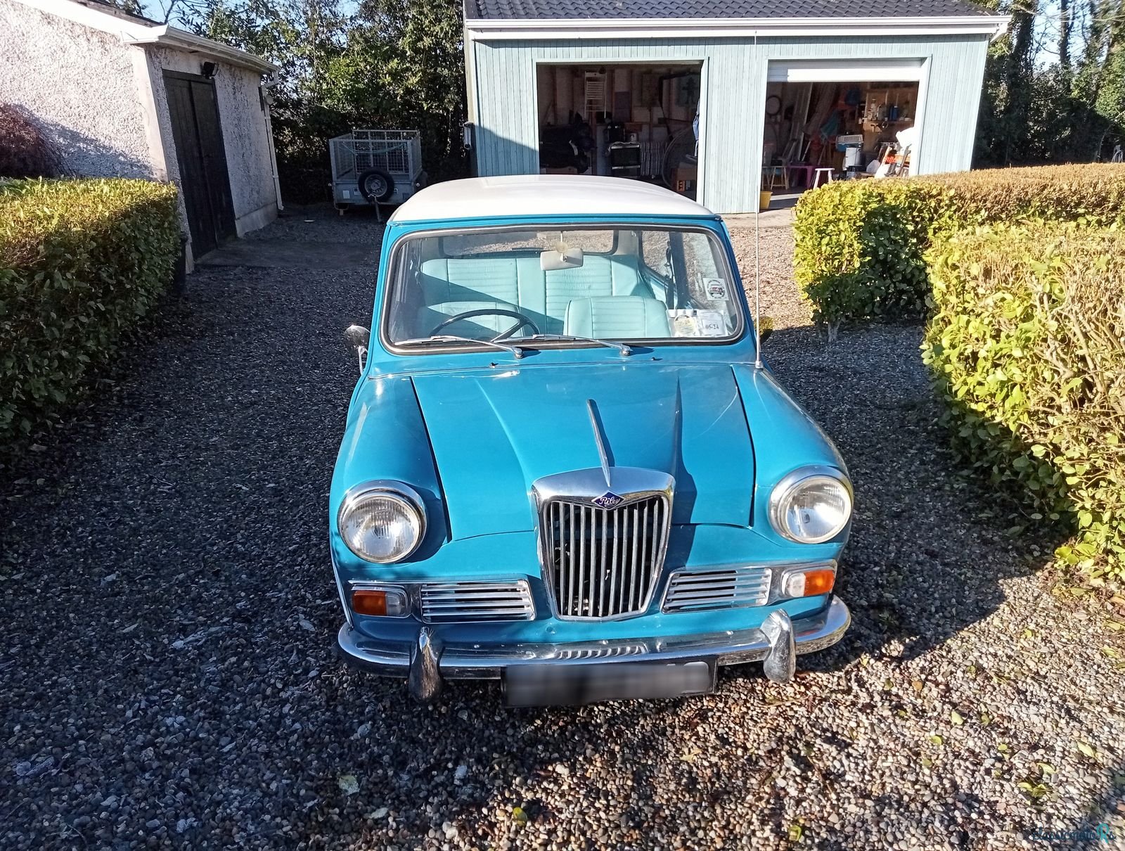 1969' Riley Elf photo #1