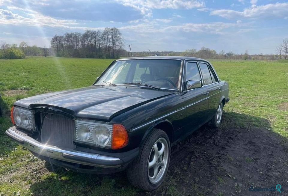 1976' Mercedes-Benz W123 photo #2