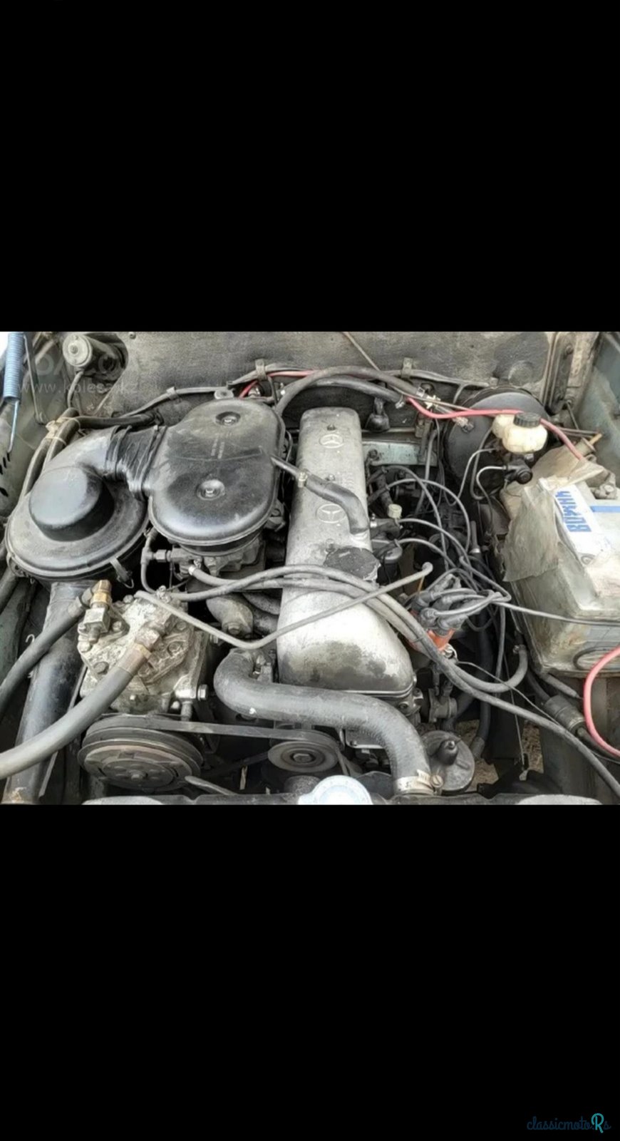 1976' Mercedes-Benz 280 photo #4