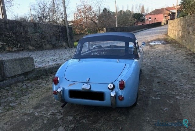 1959' Austin-Healey Sprite photo #5