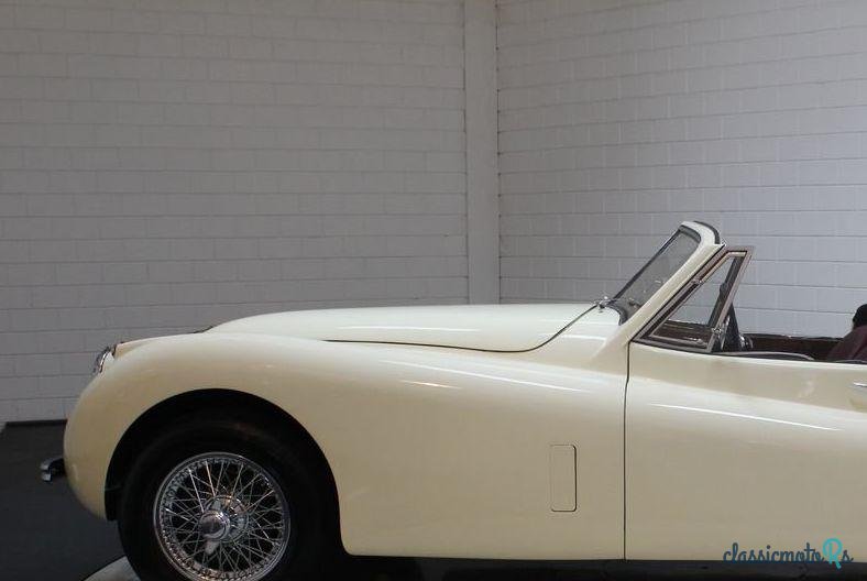 1954' Jaguar Xk120 photo #3