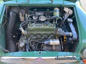 1966' MINI Cooper photo #6