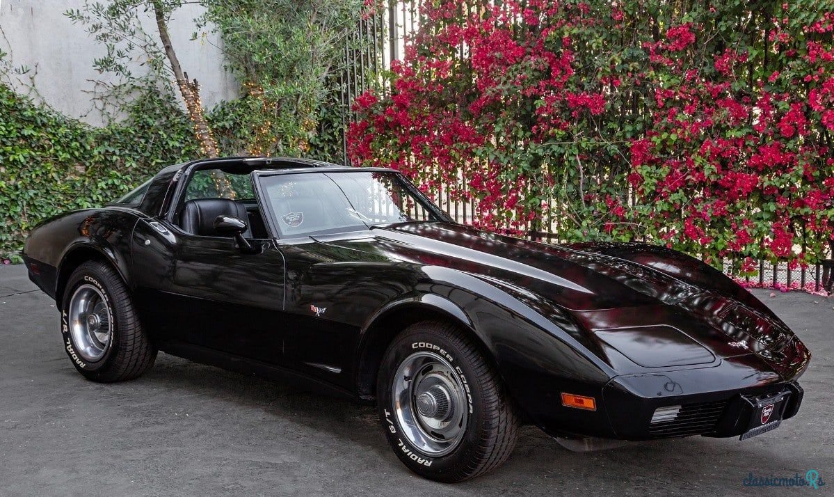1979' Chevrolet Corvette photo #5