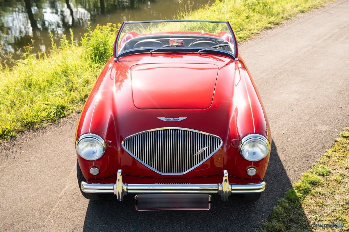 1955' Austin-Healey 100/4 photo #1