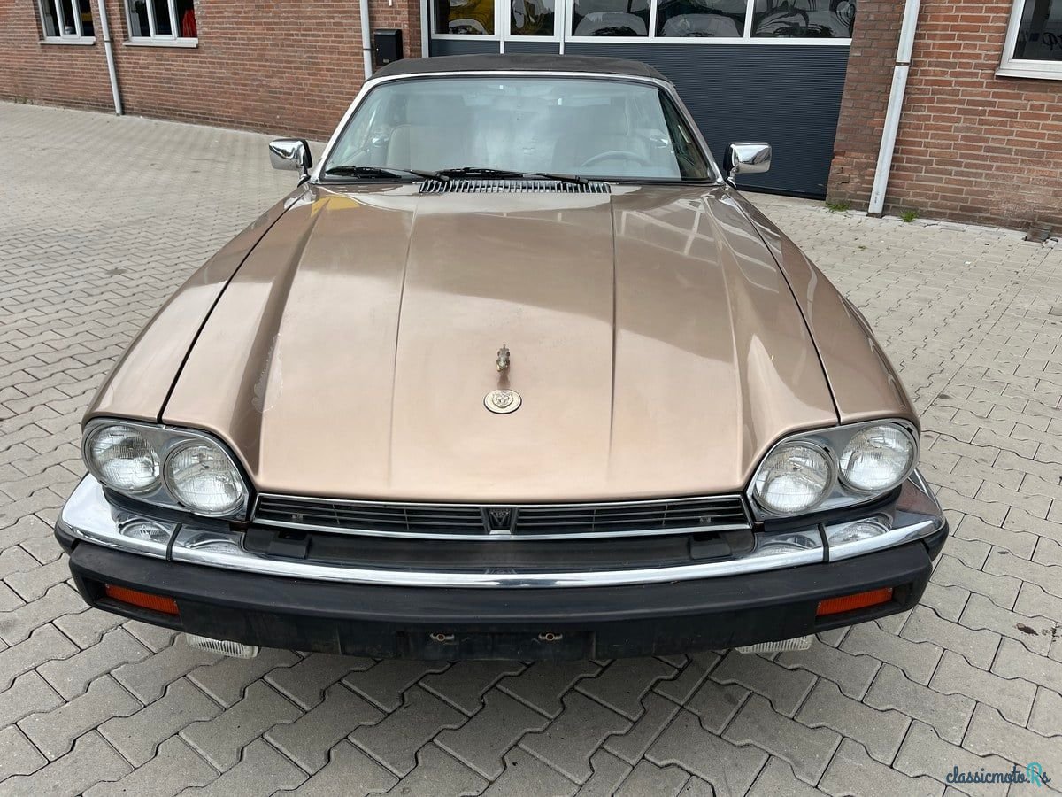1989' Jaguar XJS photo #2